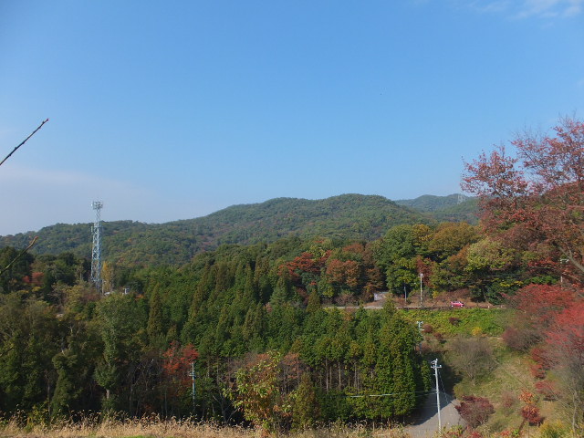 a0271502_1761318.jpg