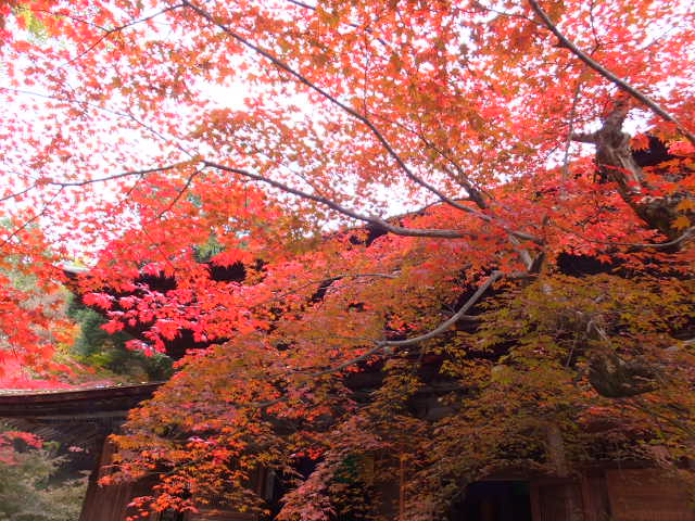 a0271502_1774655.jpg