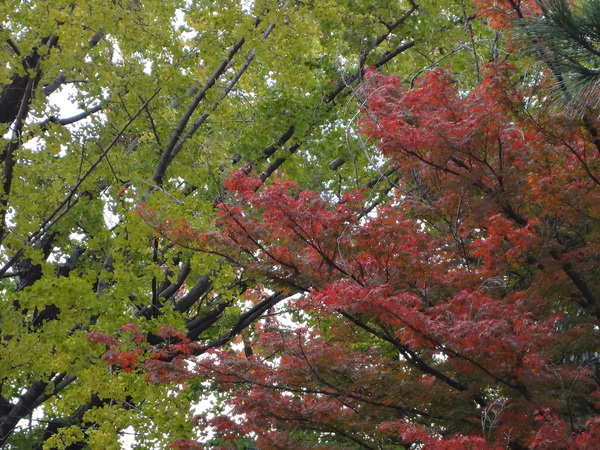 b0220002_2255243.jpg