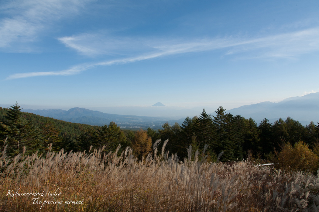 １０月下旬の富士見平_c0137403_16133794.jpg