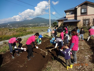 収穫の秋!~芋掘り完了_d0050503_8341567.jpg