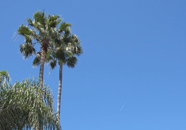 c0042904_2152038.jpg