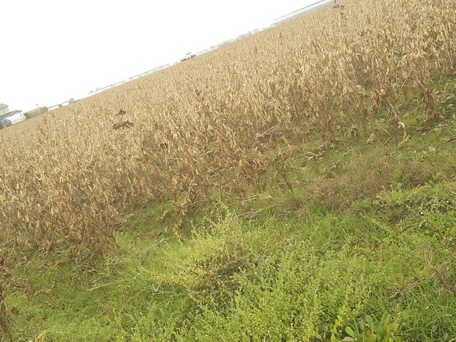 c0212604_838630.jpg