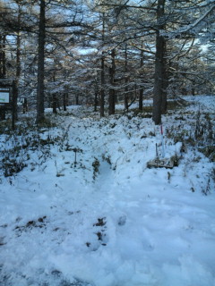 e0028904_2152364.jpg