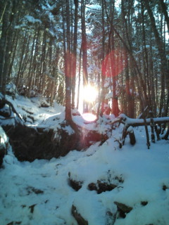 e0028904_2153080.jpg