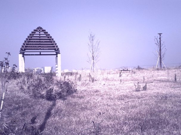ぶらはり 府中街道_d0147406_20504645.jpg