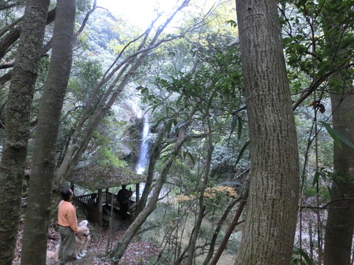 b0190908_21323059.jpg