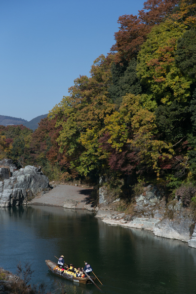 b0237408_2024748.jpg