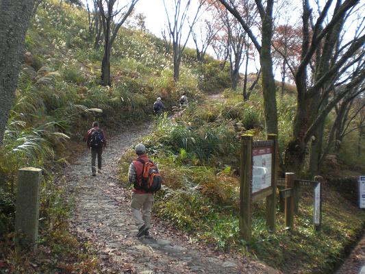 駅長お薦め 吉野山_d0288411_19151868.jpg