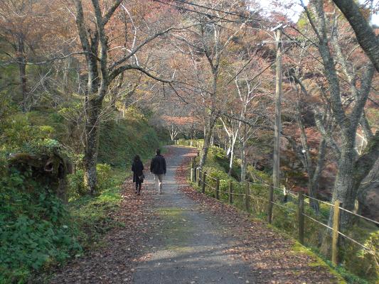 駅長お薦め 吉野山_d0288411_1921893.jpg