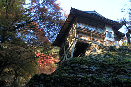 阿弥陀寺 13紅葉だより14_e0048413_20363824.jpg