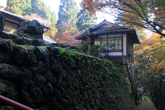 阿弥陀寺 13紅葉だより14_e0048413_20365176.jpg