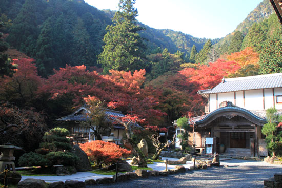 阿弥陀寺 13紅葉だより14_e0048413_20371722.jpg