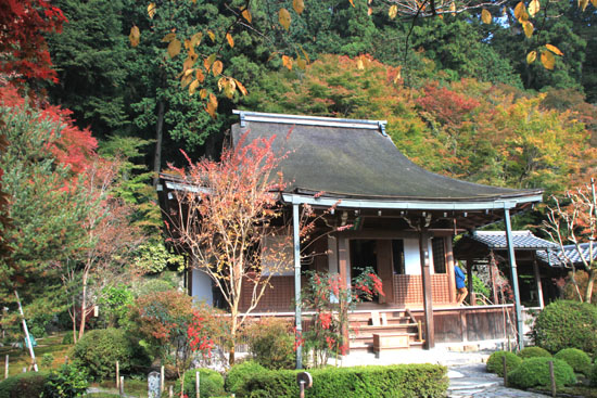 寂光院 13紅葉だより15_e0048413_21425677.jpg