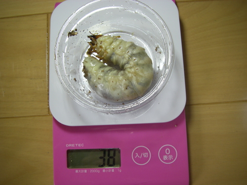 a0315918_15141851.jpg