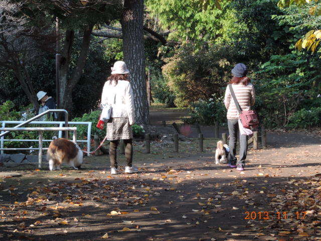 b0203018_17365548.jpg
