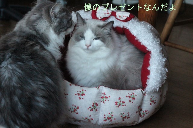 e0214720_217340.jpg