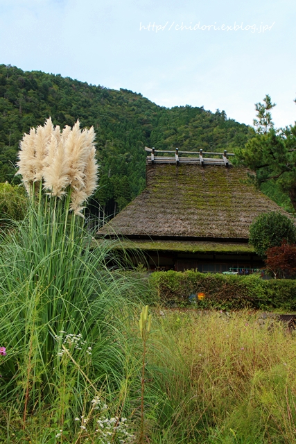 a0170321_7163361.jpg