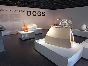 犬のための建築展_b0187024_14331469.jpg