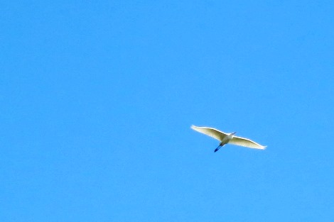 a0259130_2317246.jpg