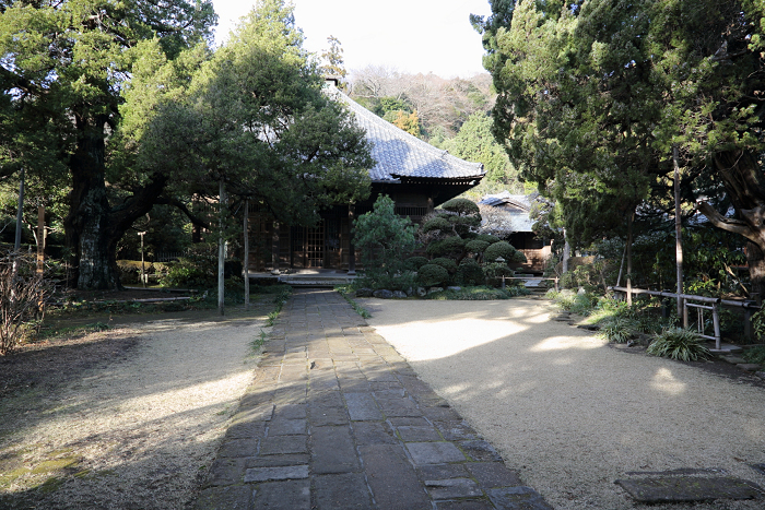 鎌倉散歩　#40 －迎春の寿福寺－_b0169330_18242062.jpg