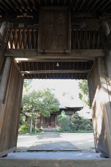 鎌倉散歩　#40 －迎春の寿福寺－_b0169330_2293021.jpg