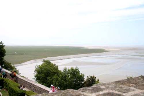 c0020930_1459541.jpg