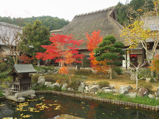 紅葉2013～禅定寺～11/16_e0080133_00120028.jpg