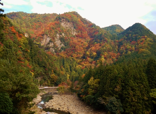 赤目四十八滝 香落渓 紅葉 部長の記録 赤目四十八滝 香落渓 紅葉 部長の記録