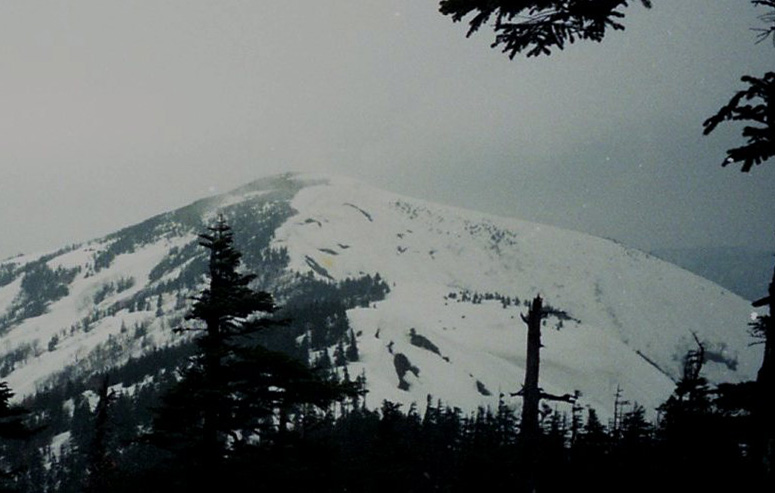 d0237340_17242759.jpg
