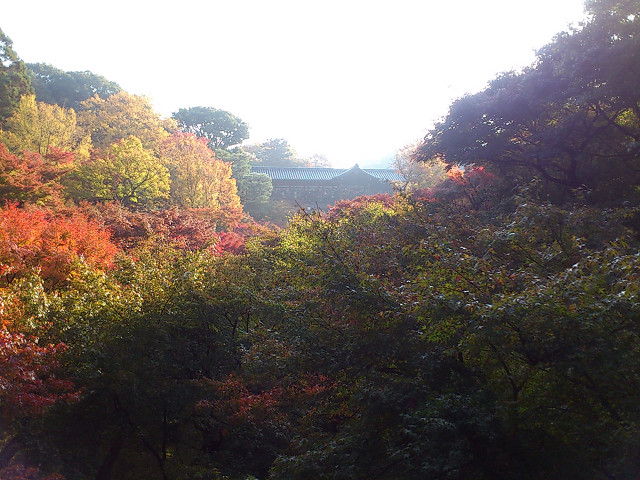 b0088444_22283095.jpg