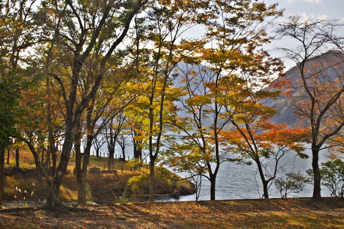 紅葉２０１３　丹沢湖１_d0029744_13365566.jpg