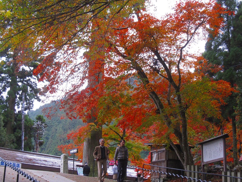 比叡山『延暦寺の紅葉』2013_e0237645_20343657.jpg