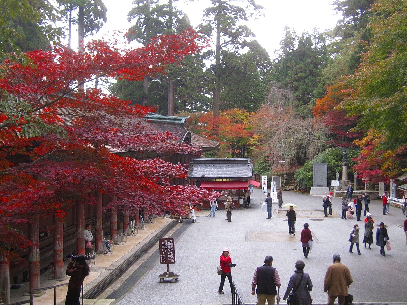 比叡山『延暦寺の紅葉』2013_e0237645_2034375.jpg