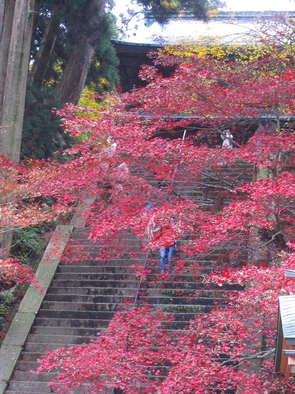 比叡山『延暦寺の紅葉』2013_e0237645_20345247.jpg