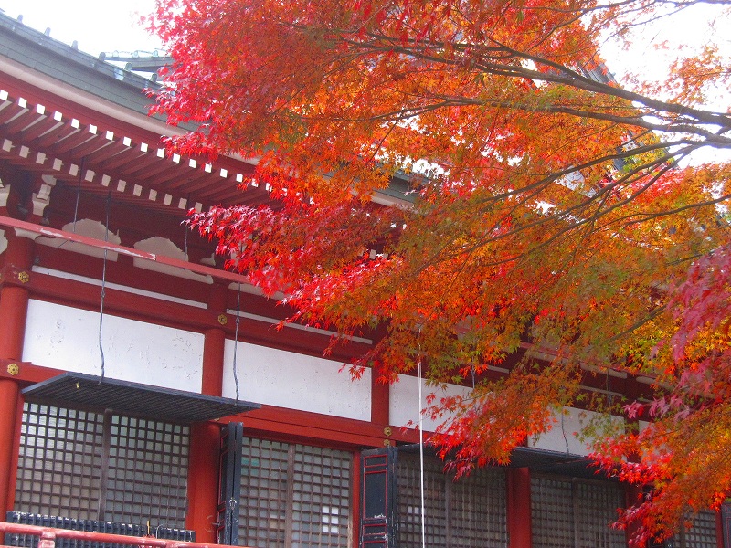 比叡山『延暦寺の紅葉』2013_e0237645_20353129.jpg