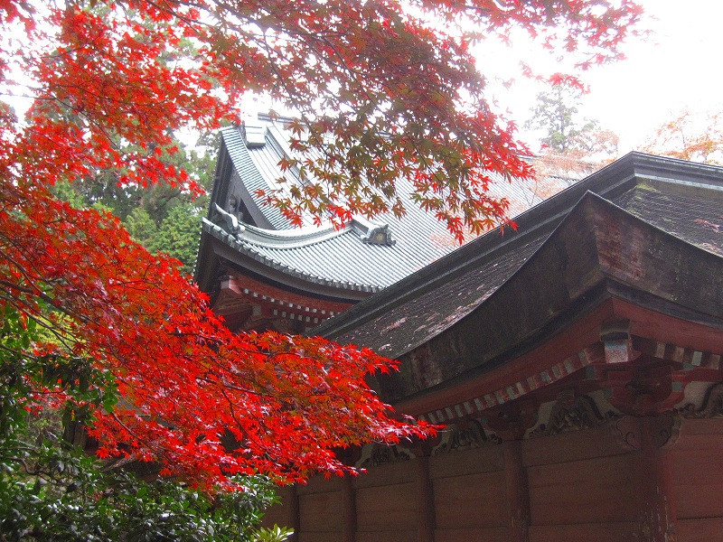 比叡山『延暦寺の紅葉』2013_e0237645_20354616.jpg