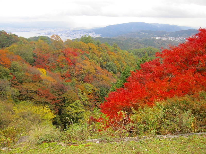 紅葉の『比叡山ドライブウェイ』2013_e0237645_21361661.jpg