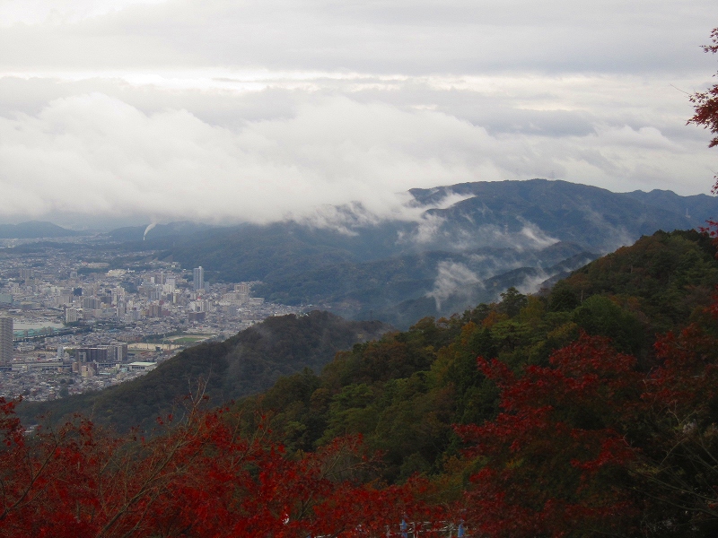 紅葉の『比叡山ドライブウェイ』2013_e0237645_21381269.jpg