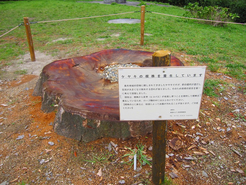 e0237645_2221385.jpg