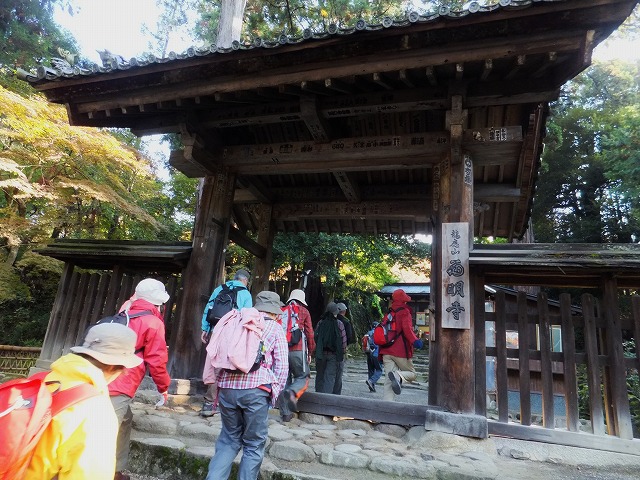 d0048350_1513568.jpg