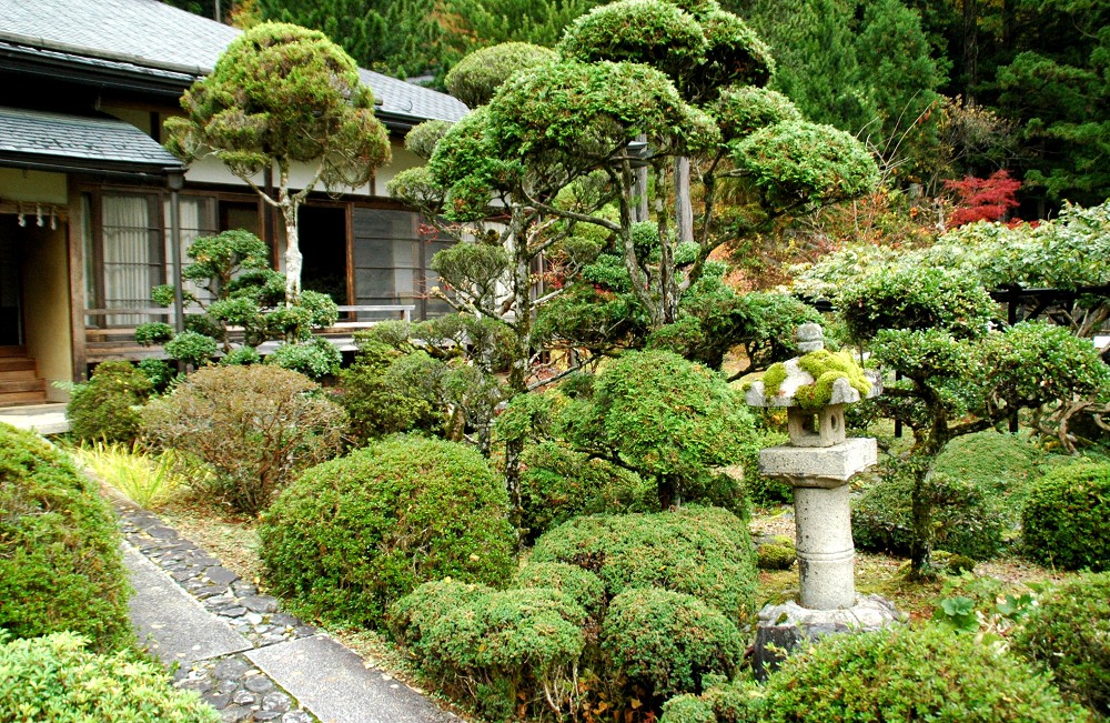 　　高野山_b0093754_2051410.jpg