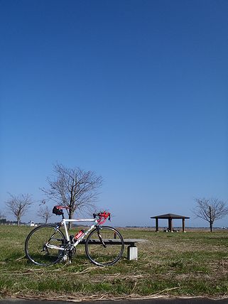 a0096557_12532653.jpg