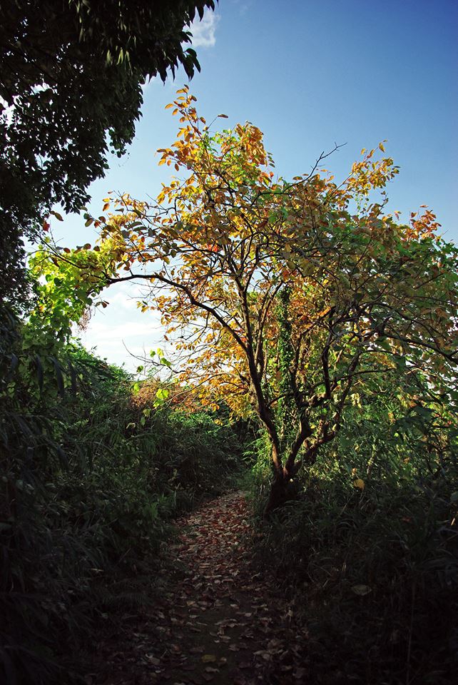 e0142357_22261793.jpg