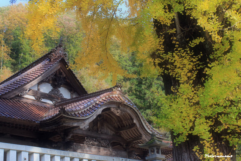 長尾神社_f0147858_10495366.jpg