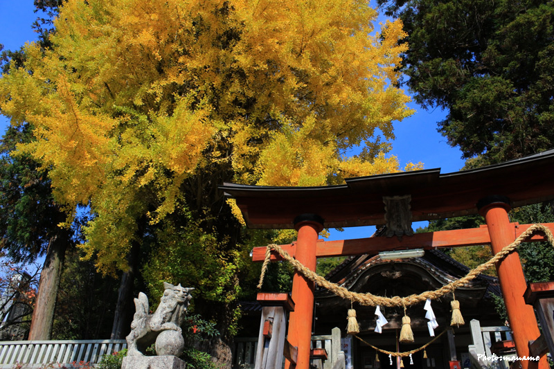 長尾神社_f0147858_10501150.jpg