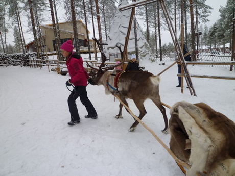 ロバニエミ in Finland　３日目part２。_e0111359_14425444.jpg