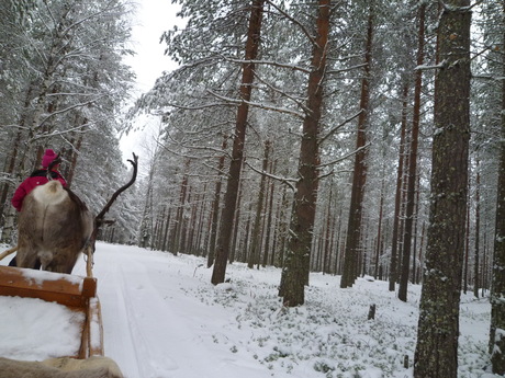 ロバニエミ in Finland　３日目part２。_e0111359_14435970.jpg