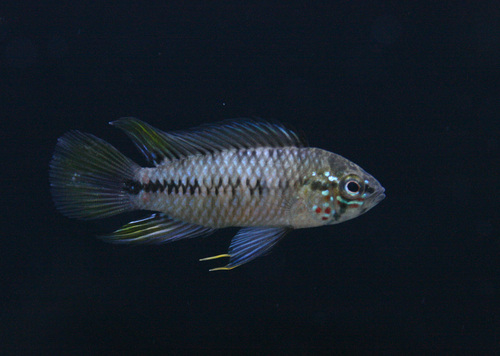 a0162263_17202446.jpg
