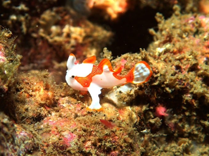 三浦半島2013⑯_b0287468_355084.jpg